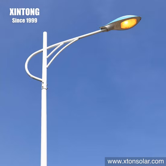 Lampione stradale domestico da 20W 30W LED integrato per esterni con turbina Street Garden Road con pannello e batteria al litio